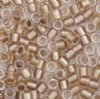 DB-0907 5.2 Grams of 11/0 Sparkling Beige Bronze Lined Crystal Delica Beads