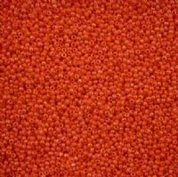 10 Grams 11/0 Charlotte Seed Beads - Opaque Orange AB