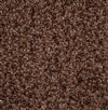 22 Grams of 8/0 Dark Brown Terra Intensive Lined Crystal Seed Beads